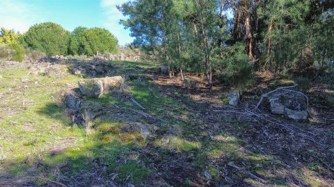 Terreno Agricola ou Rústico para Venda em Penamacor