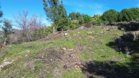 Terreno Agricola ou Rústico para Venda em Penamacor