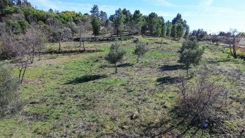 Terreno Agricola ou Rústico para Venda em Penamacor