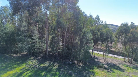 Terreno Agricola ou Rústico para Venda em Penamacor