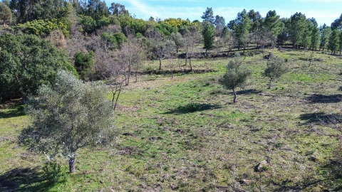 Terreno Agricola ou Rústico para Venda em Penamacor