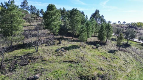 Terreno Agricola ou Rústico para Venda em Penamacor