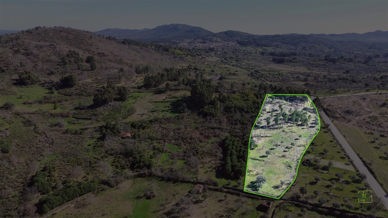 Terreno Agricola ou Rústico para Venda em Penamacor Foto 7