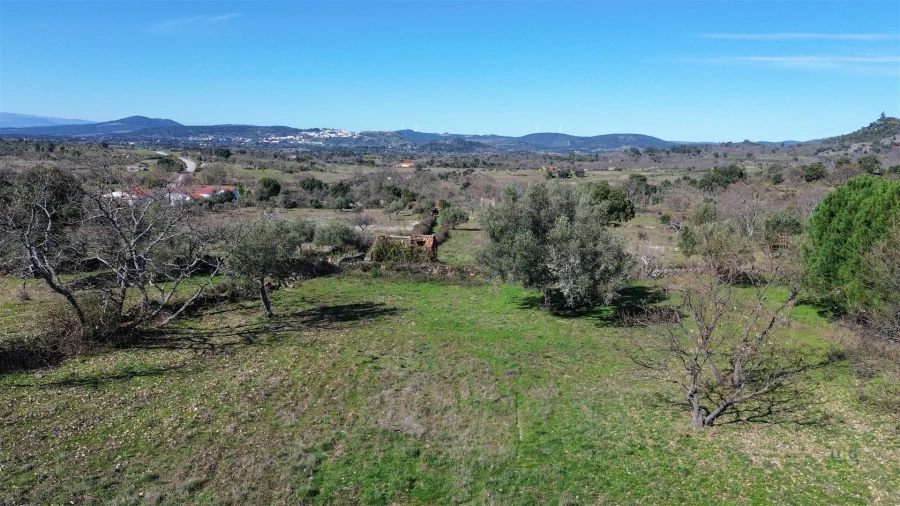 Terreno Agricola ou Rústico para Venda em Penamacor Foto 14