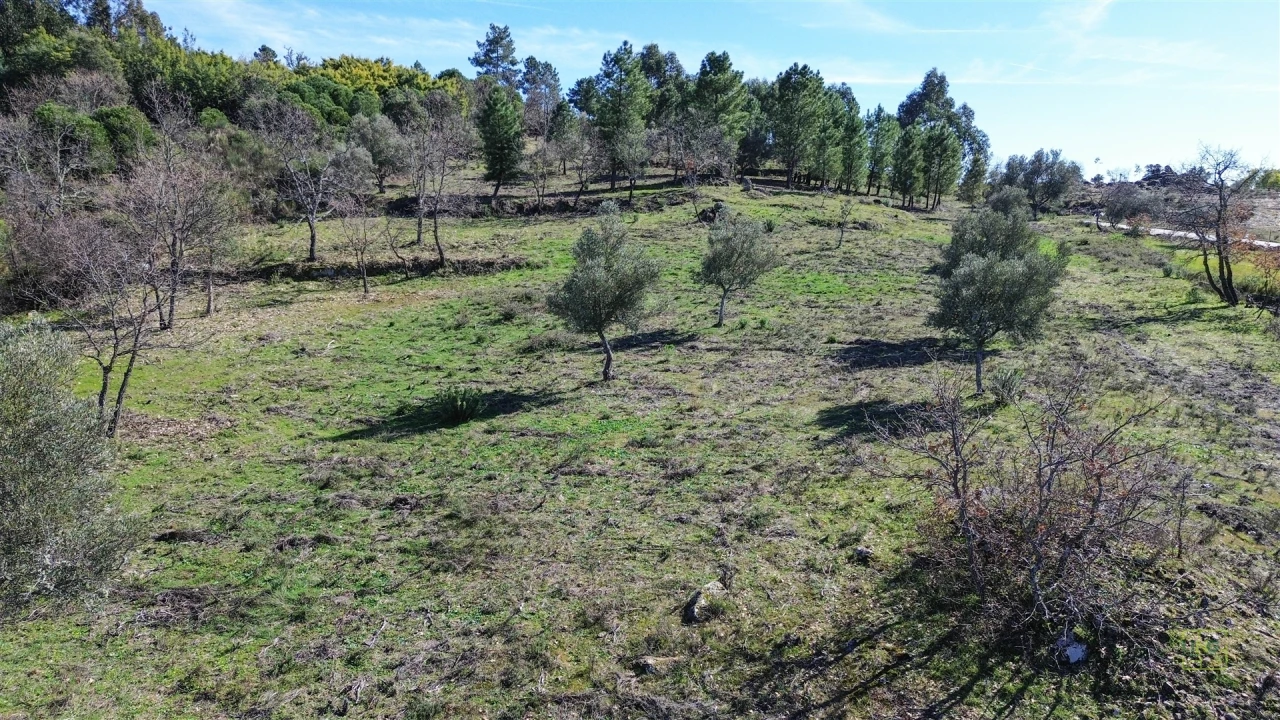 Terreno Agricola ou Rústico para Venda em Penamacor Foto 12