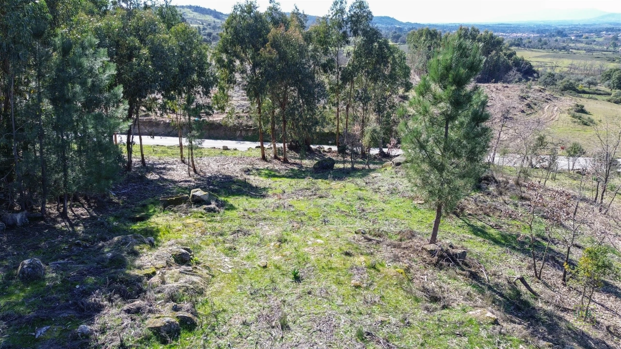 Terreno Agricola ou Rústico para Venda em Penamacor Foto 23