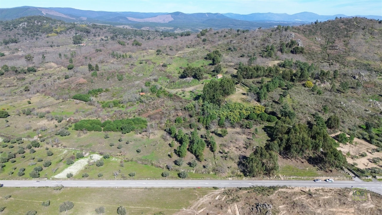 Terreno Agricola ou Rústico para Venda em Penamacor Foto 5