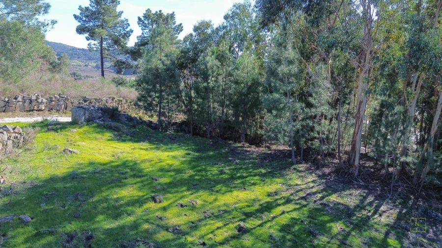 Terreno Agricola ou Rústico para Venda em Penamacor