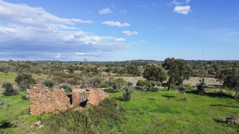 Quinta T0 para Venda em Freixial e Juncal do Campo