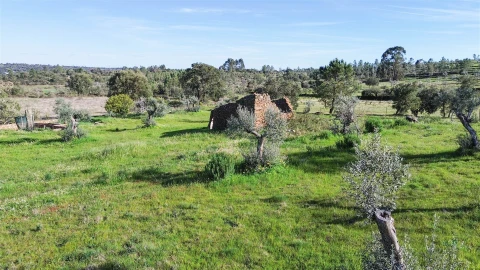 Quinta T0 para Venda em Freixial e Juncal do Campo