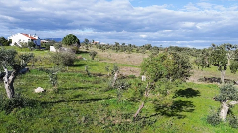 Quinta T0 para Venda em Freixial e Juncal do Campo
