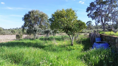 Quinta T0 para Venda em Freixial e Juncal do Campo