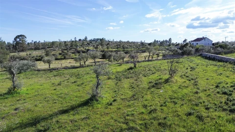 Quinta T0 para Venda em Freixial e Juncal do Campo