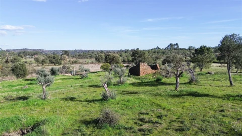 Quinta T0 para Venda em Freixial e Juncal do Campo
