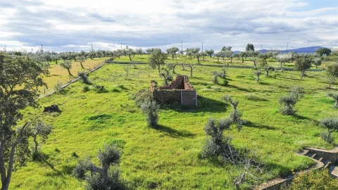 Quinta T0 para Venda em Freixial e Juncal do Campo
