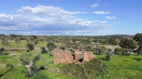 Quinta T0 para Venda em Freixial e Juncal do Campo