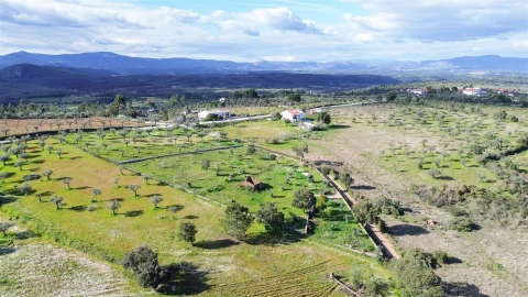 Quinta T0 para Venda em Freixial e Juncal do Campo