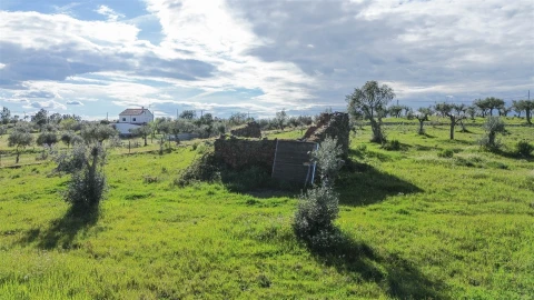 Quinta T0 para Venda em Freixial e Juncal do Campo