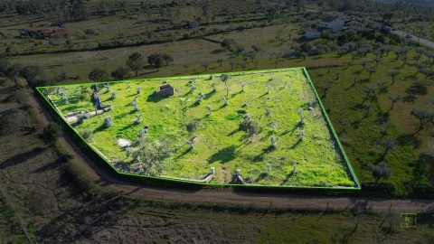 Quinta T0 para Venda em Freixial e Juncal do Campo