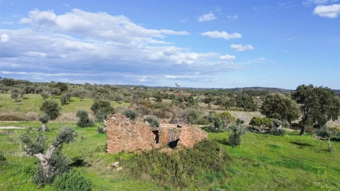 Quinta T0 para Venda em Freixial e Juncal do Campo