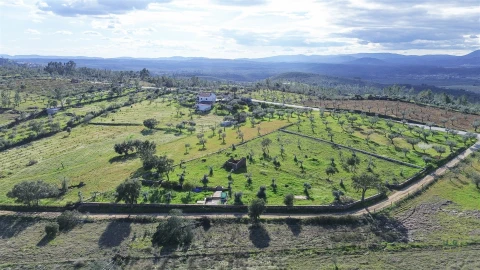 Quinta T0 para Venda em Freixial e Juncal do Campo