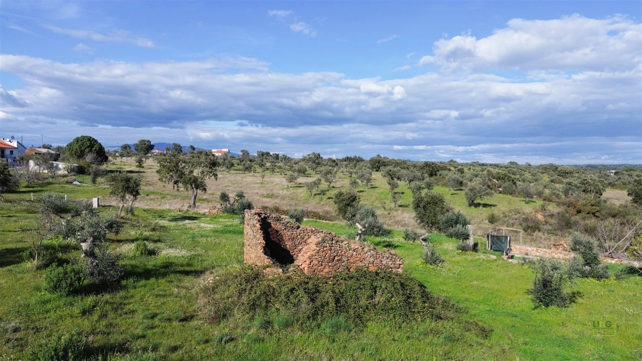 Quinta T0 para Venda em Freixial e Juncal do Campo Foto 13