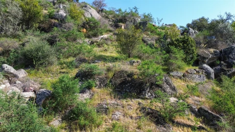 Terreno para Venda em Idanha-A-Nova e Alcafozes