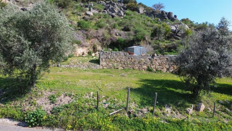 Terreno para Venda em Idanha-A-Nova e Alcafozes