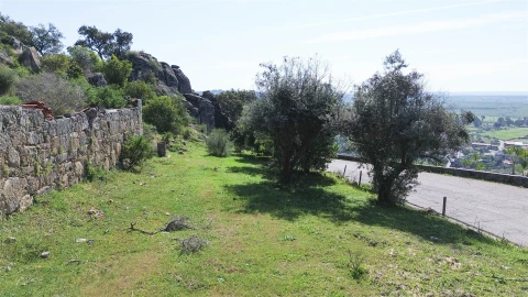 Terreno para Venda em Idanha-A-Nova e Alcafozes