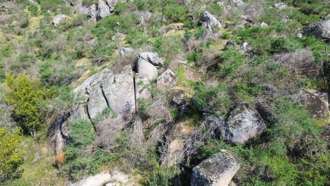 Terreno para Venda em Idanha-A-Nova e Alcafozes