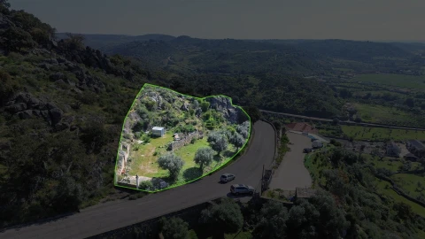 Terreno para Venda em Idanha-A-Nova e Alcafozes
