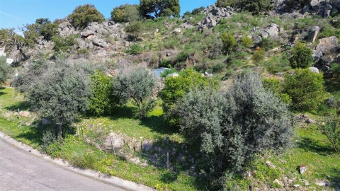 Terreno para Venda em Idanha-A-Nova e Alcafozes