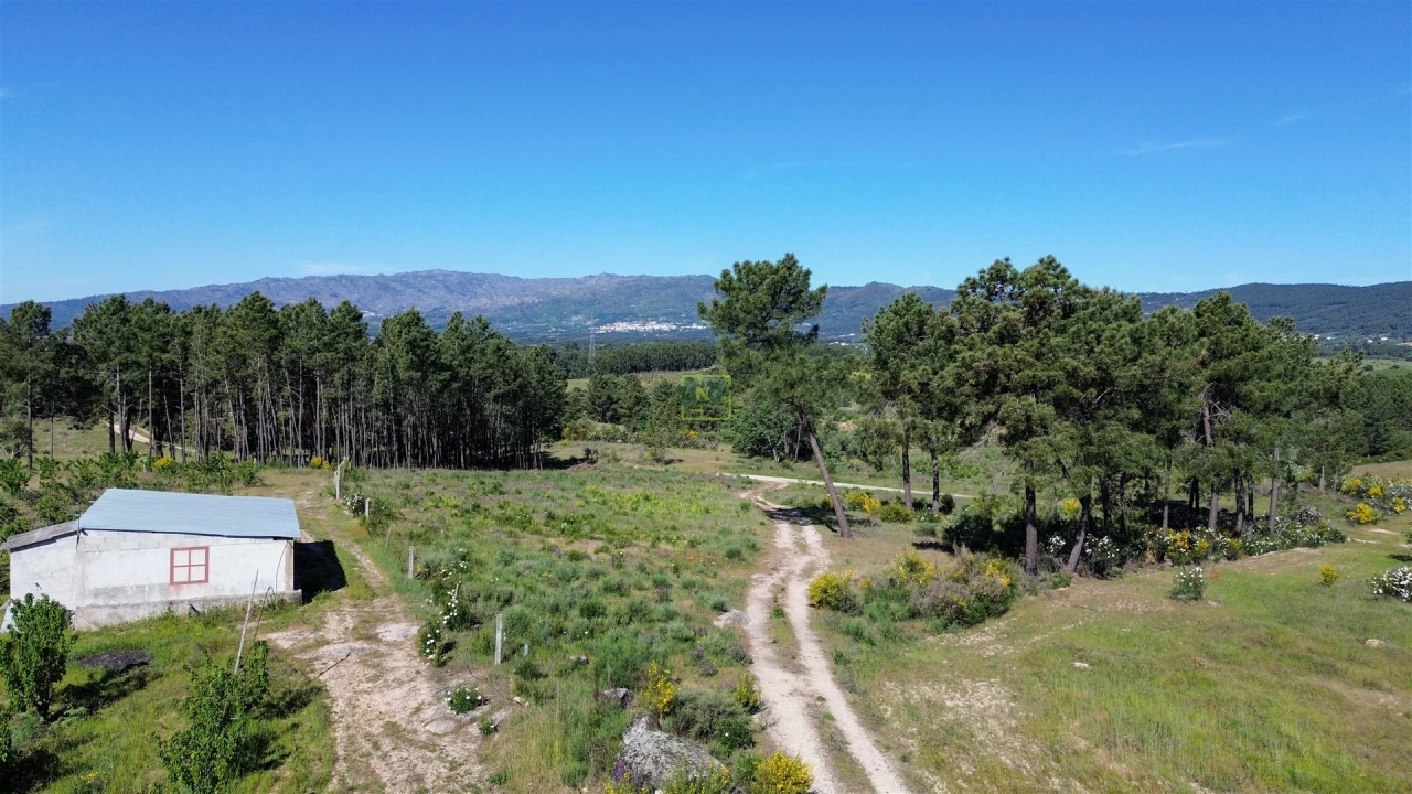 Terreno Agricola ou Rústico para Venda em Vale de Prazeres e Mata da Rainha Foto 26