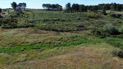 Terreno Agricola ou Rústico para Venda em Vale de Prazeres e Mata da Rainha