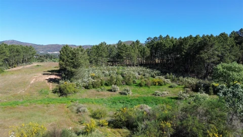 Terreno Agricola ou Rústico para Venda em Vale de Prazeres e Mata da Rainha