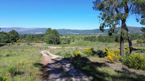 Terreno Agricola ou Rústico para Venda em Vale de Prazeres e Mata da Rainha