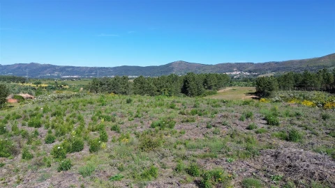 Terreno Agricola ou Rústico para Venda em Vale de Prazeres e Mata da Rainha