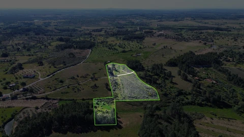 Terreno Agricola ou Rústico para Venda em Vale de Prazeres e Mata da Rainha