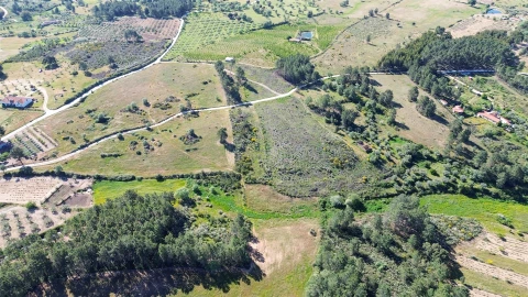 Terreno Agricola ou Rústico para Venda em Vale de Prazeres e Mata da Rainha