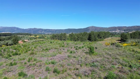 Terreno Agricola ou Rústico para Venda em Vale de Prazeres e Mata da Rainha