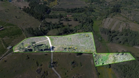 Terreno Agricola ou Rústico para Venda em Vale de Prazeres e Mata da Rainha