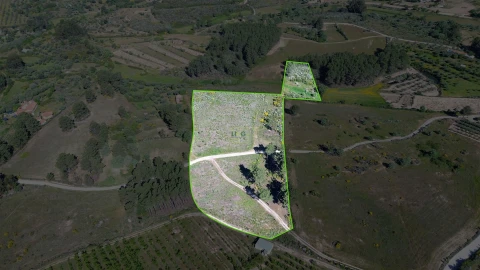 Terreno Agricola ou Rústico para Venda em Vale de Prazeres e Mata da Rainha