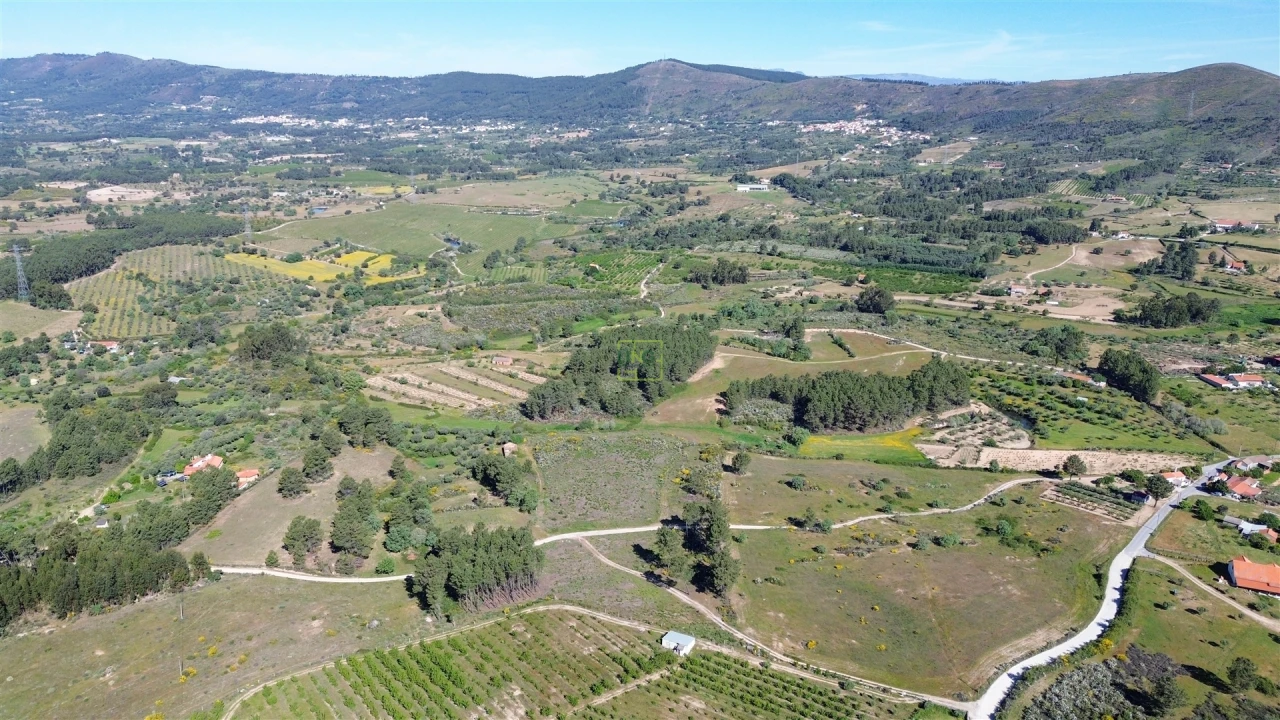 Terreno Agricola ou Rústico para Venda em Vale de Prazeres e Mata da Rainha Foto 17
