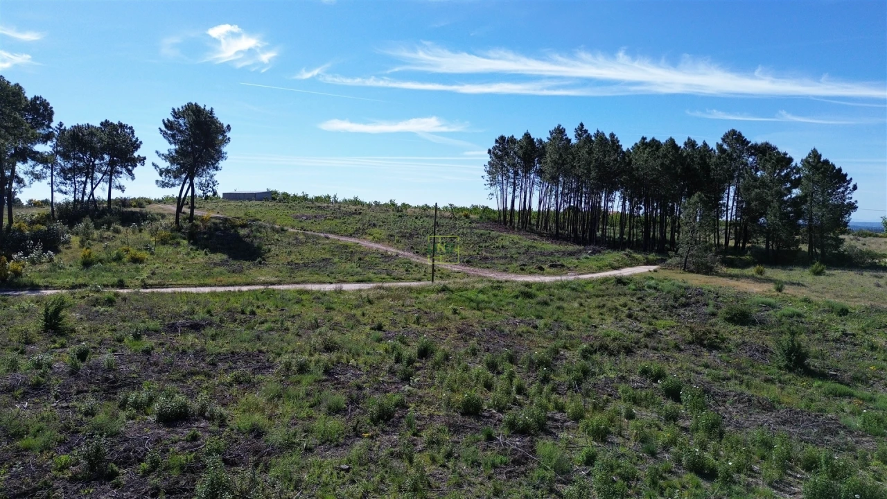 Terreno Agricola ou Rústico para Venda em Vale de Prazeres e Mata da Rainha Foto 25