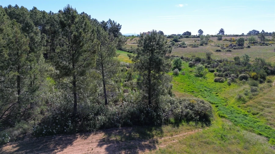 Terreno Agricola ou Rústico para Venda em Vale de Prazeres e Mata da Rainha Foto 21