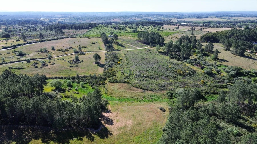 Terreno Agricola ou Rústico para Venda em Vale de Prazeres e Mata da Rainha Foto 19