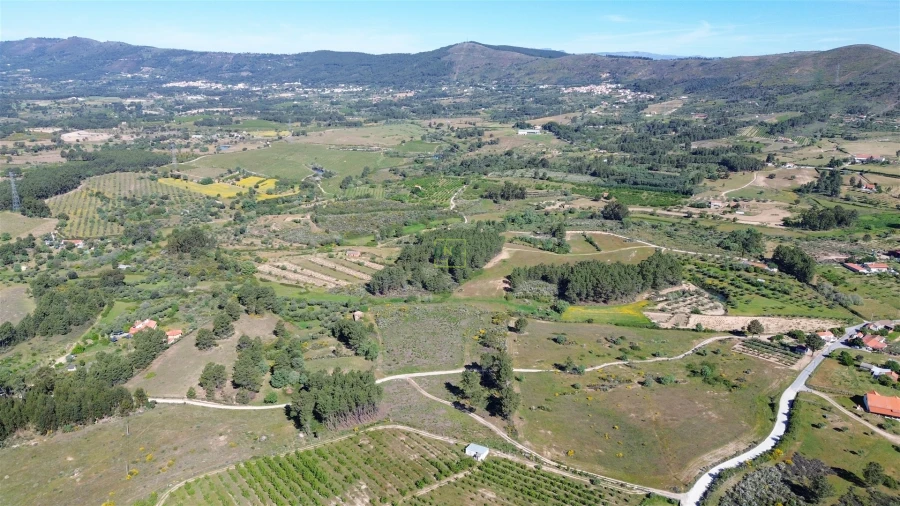 Terreno Agricola ou Rústico para Venda em Vale de Prazeres e Mata da Rainha Foto 17