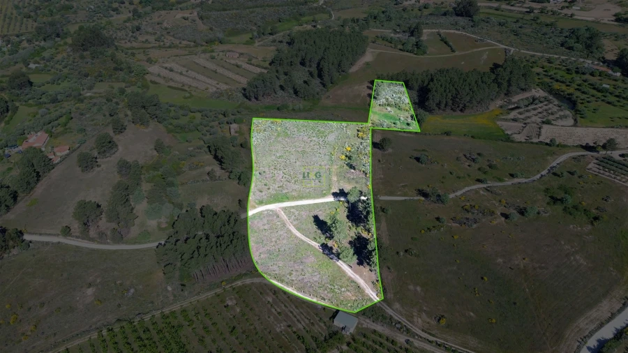 Terreno Agricola ou Rústico para Venda em Vale de Prazeres e Mata da Rainha Foto 13