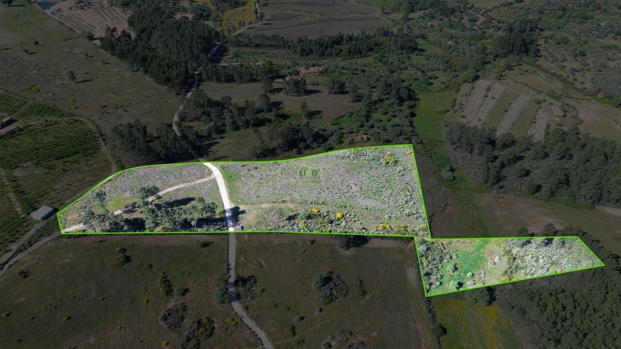 Terreno Agricola ou Rústico para Venda em Vale de Prazeres e Mata da Rainha Foto 15
