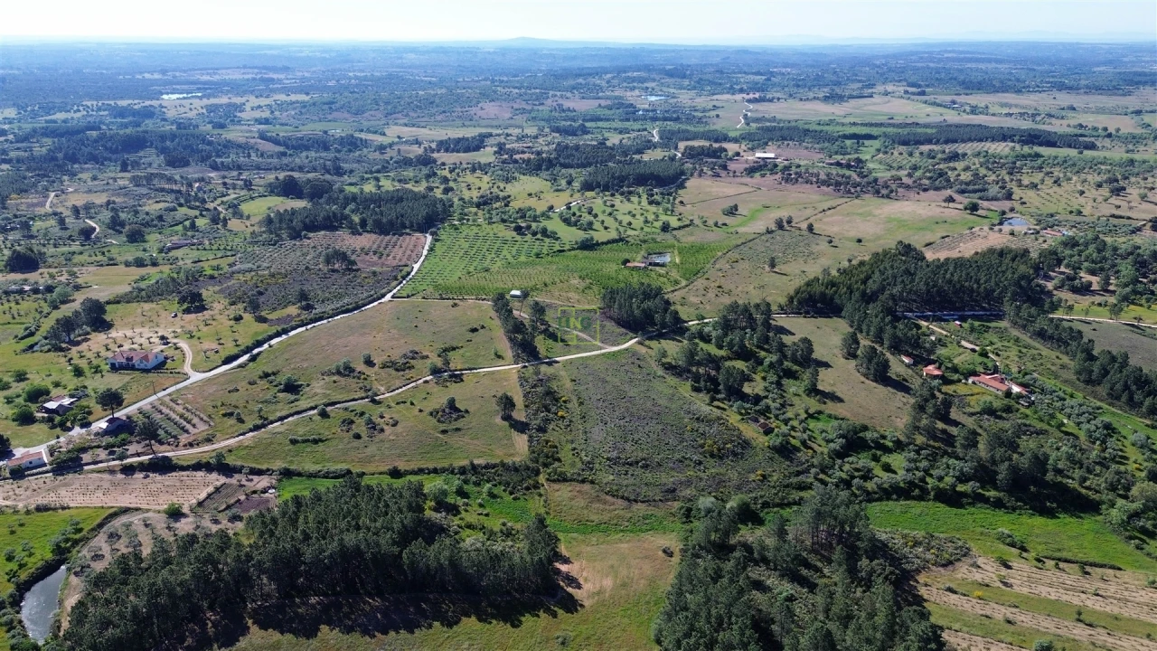Terreno Agricola ou Rústico para Venda em Vale de Prazeres e Mata da Rainha Foto 4